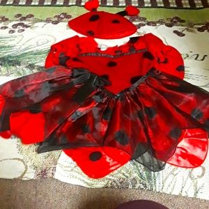 Baby's Ladybug Dress
